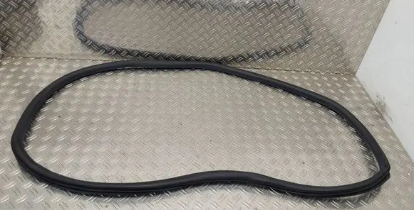 Citroen C4 III e-C4 Rear door rubber seal (on body) 