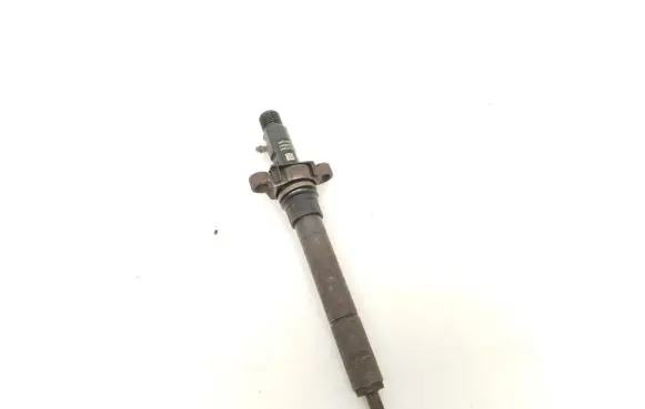 Citroen C5 Fuel injector 9688438580 EJBR06001D