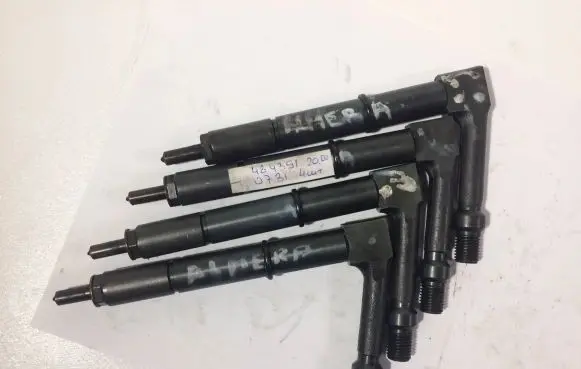 Nissan Almera N16 Fuel injector 484391 0731