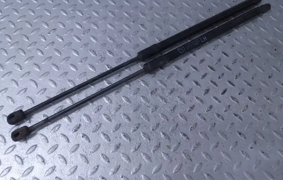 Tailgate/trunk strut/damper