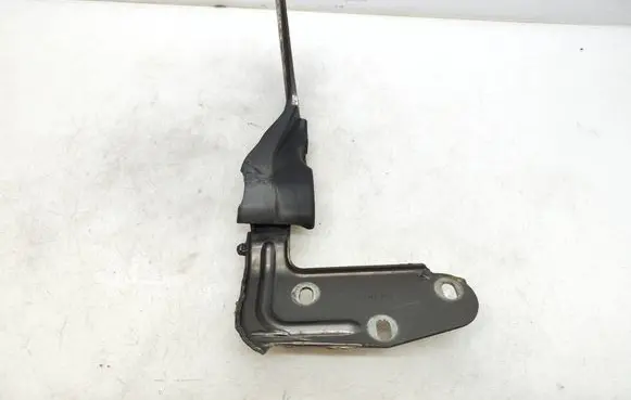 Porsche Cayenne (92A) Engine bonnet/hood hinges 7P5823301B 05471001S