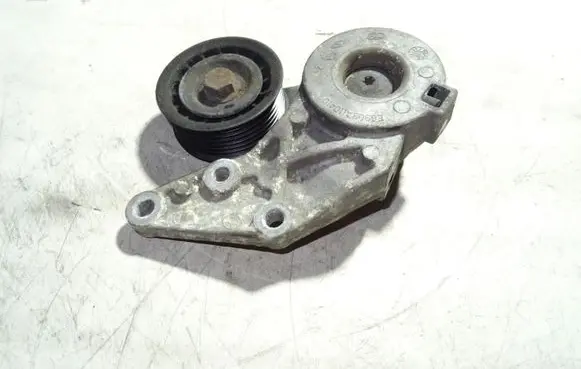 Volkswagen Phaeton Generator/alternator belt tensioner 022145299B