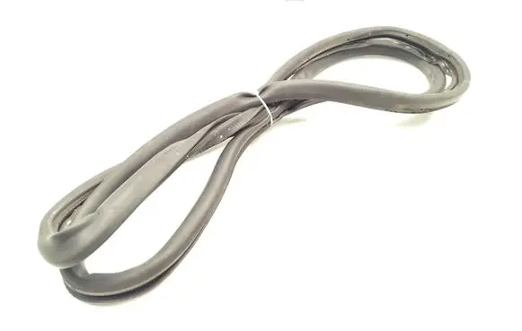 Volkswagen Passat Alltrack Rear door rubber seal (on body) 