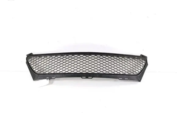 Front bumper lower grill