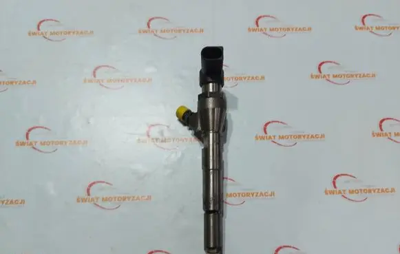 Nissan Qashqai Fuel injector H8200704191