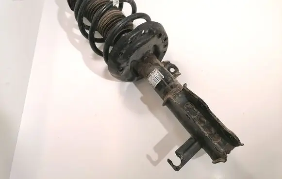 Opel Insignia A Front shock absorber with coil spring 13245977