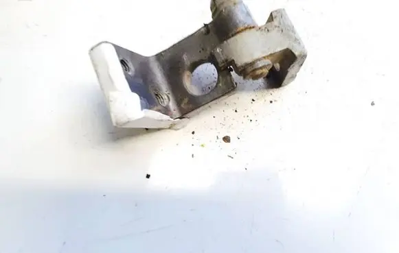 Seat Toledo III (5P) Rear door lower hinge es2807