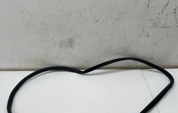 KIA Stinger Rear door rubber seal (on body) 
