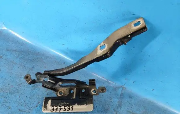 Ford Expedition Engine bonnet/hood hinges JL1Z16796A