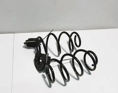 Rear coil spring