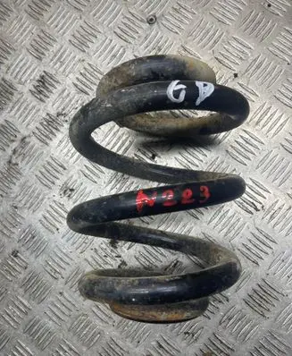 Rear coil spring