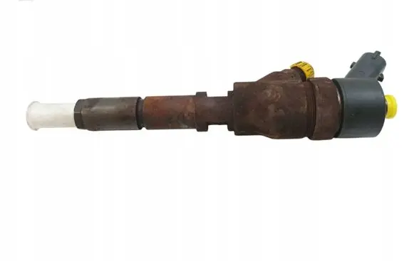 Fiat Ducato Fuel injector 0445110076