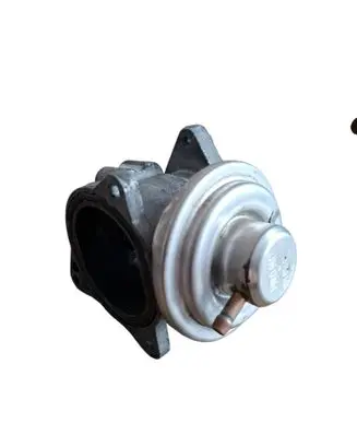EGR valve