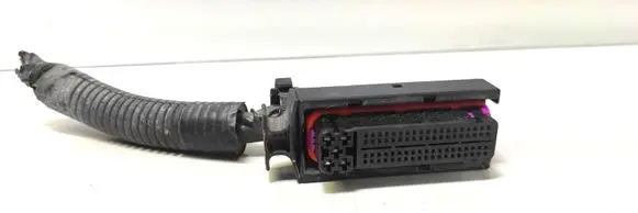 Seat Ibiza III (6L) Other wiring loom