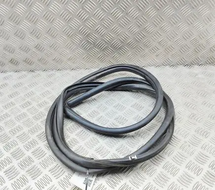 Toyota bZ4X Rubber seal rear door 6233142110