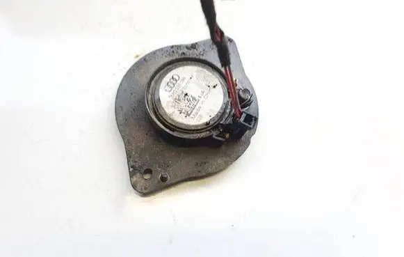 Front door speaker