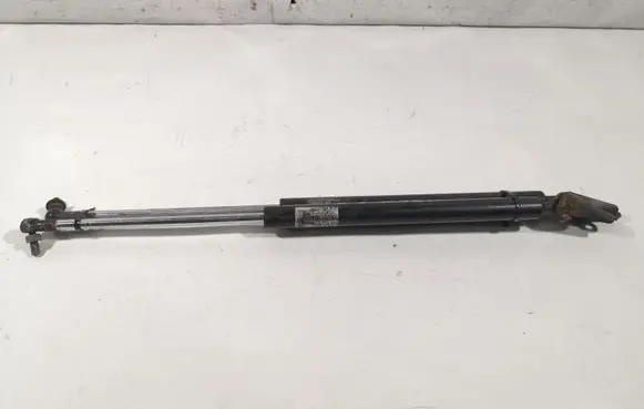 Tailgate strut