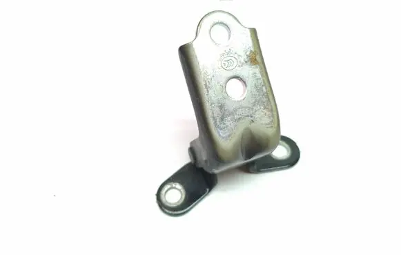 KIA Stinger Rear door lower hinge