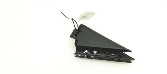 Nissan Pulsar Rear door glass trim molding 82233DN0A