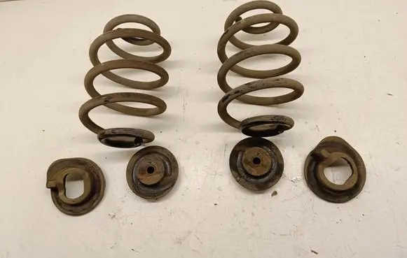 Nissan Leaf II (ZE1) Rear coil spring
