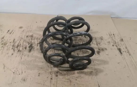 Skoda Superb B5 (3U) Rear coil spring