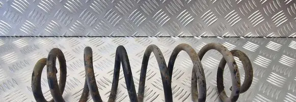Volkswagen Golf V Rear coil spring