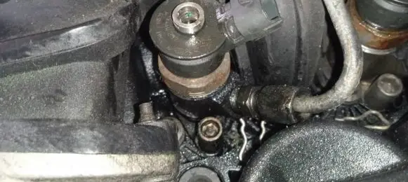 Citroen C5 Fuel injector 0445110297