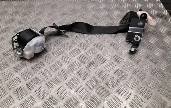 Tesla Model S Rear seatbelt 2022028 100526600C