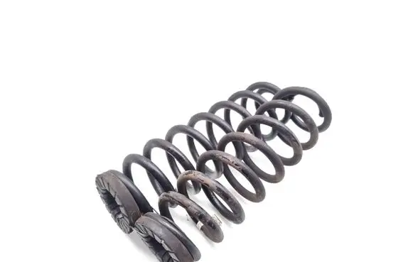 Rear coil spring