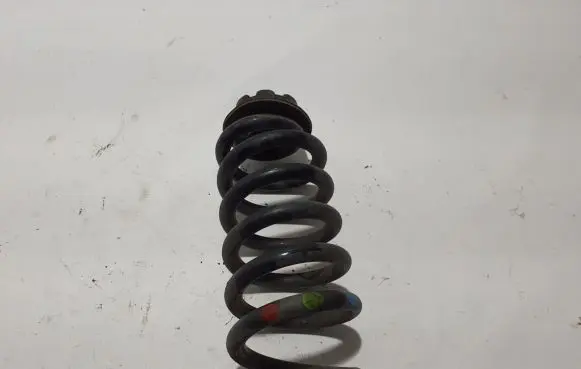 Renault Captur II Rear coil spring 550201013R