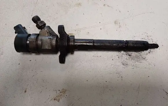 Citroen C4 I Fuel injector 0445110239