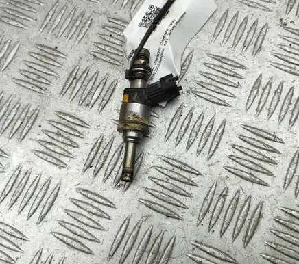 Porsche Cayenne (9PA) Fuel injector 94860523101 103507503