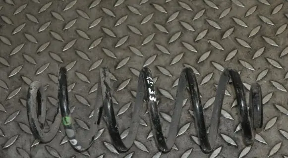 Rear coil spring