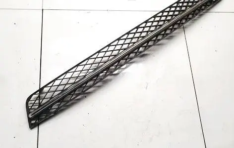 Front bumper lower grill