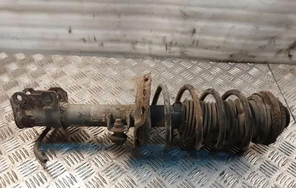 Opel Zafira B Front shock absorber with coil spring