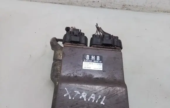 Nissan X-Trail T30 Fuel injection control unit/module 1310001190