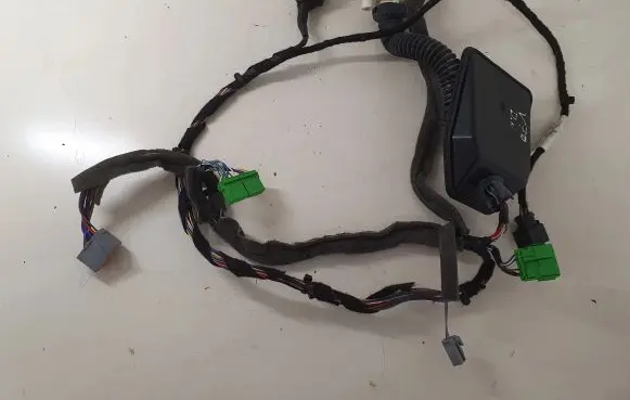Front door wiring loom