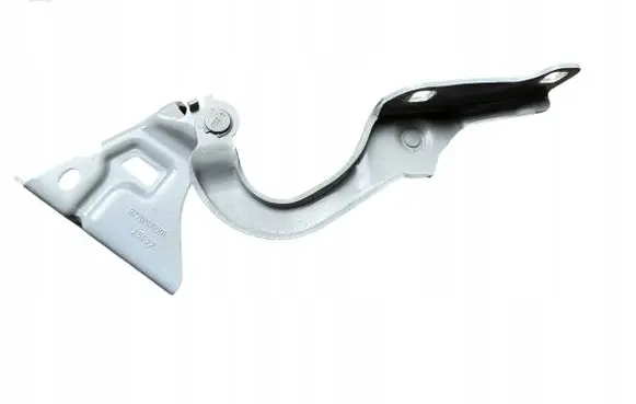 Renault Trafic III (X82) Engine bonnet/hood hinges 654013776R