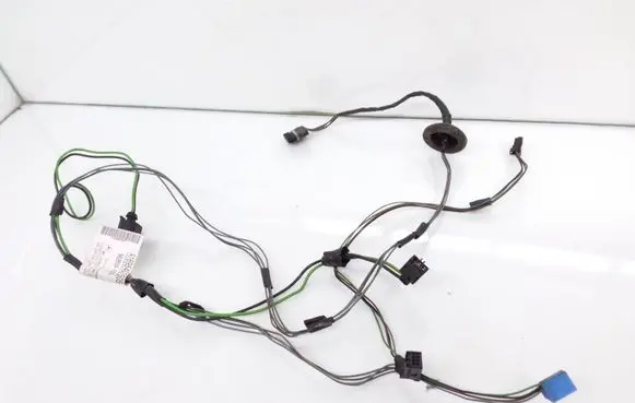 Mercedes-Benz A W169 Front door wiring loom A1695407505