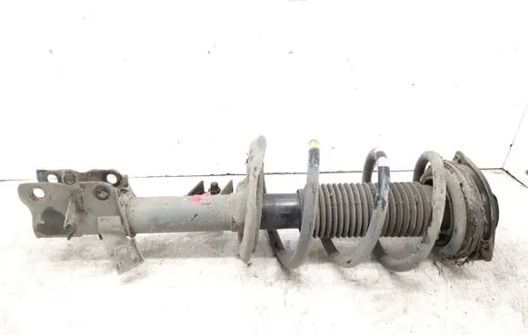 Renault Koleos I Front shock absorber with coil spring 95250033R