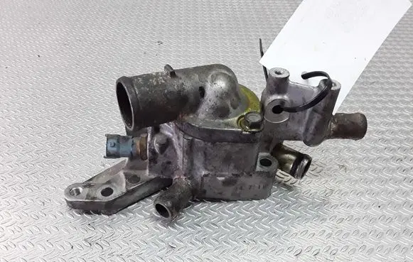 Thermostat/thermostat housing