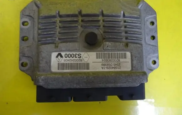 Renault Megane II Engine control unit/module 8200242405 21584029-7A