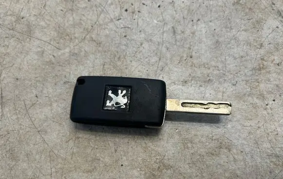 Peugeot 407 Ignition key/card 