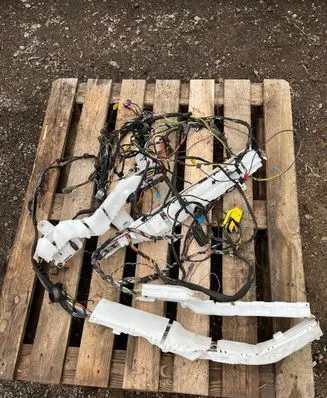 BMW X5 G05 Left interior wiring harness 