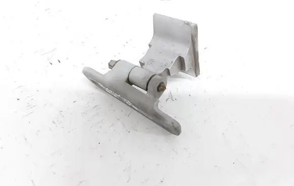 BMW 7 F01 F02 F03 F04 Front door lower hinge 7177557