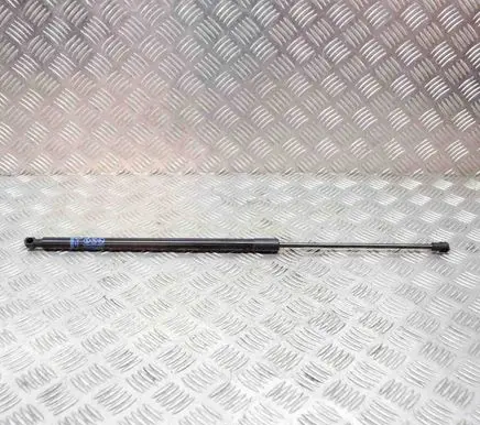 Opel Mokka Tailgate/trunk strut/damper 95095593