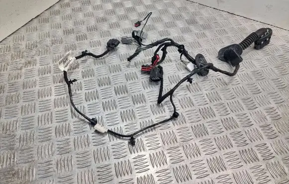 Ford C-MAX II Front door wiring loom AV6T14A584APE