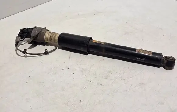 Rear shock absorber/damper