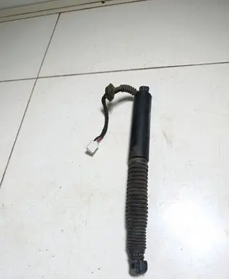 Tailgate strut