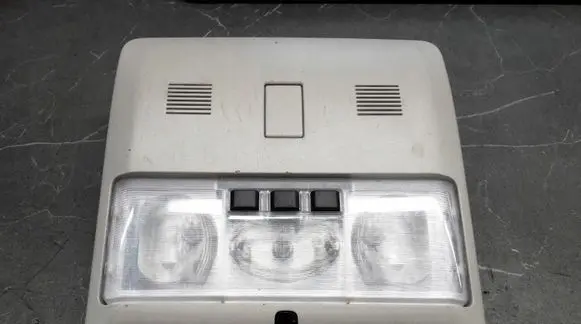 Land Rover Range Rover Sport L320 Headlining lighting console trim xde500042